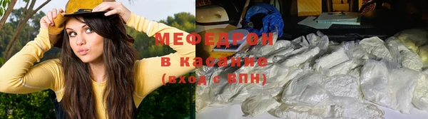 сатива Козельск