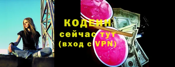 прущий лед Кодинск