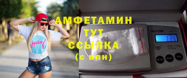 сатива Козельск