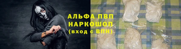 сатива Козельск