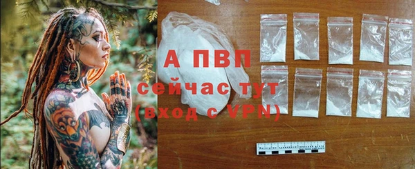 сатива Козельск