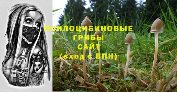 мяу мяу мука Козловка