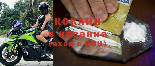 сатива Козельск