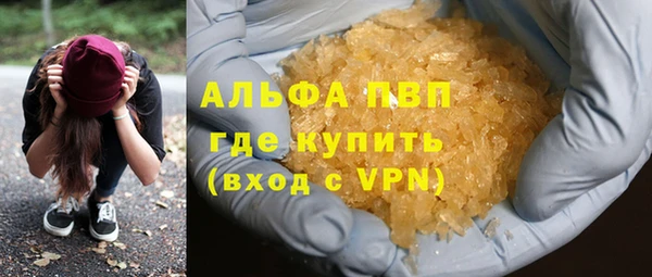 сатива Козельск
