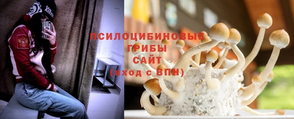 прущий лед Кодинск