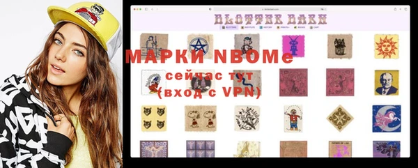сатива Козельск